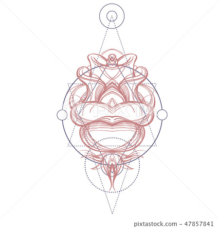 Elegant element of a stylized flower with smooth lines. Stylized floral element for design. Elegant element of a stylized flower with smooth lines. Stylized floral element for design. 47857841