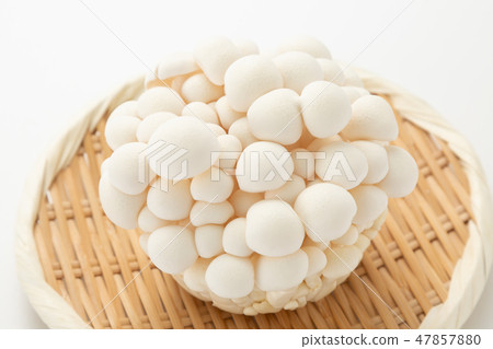 Bunapie 47857880