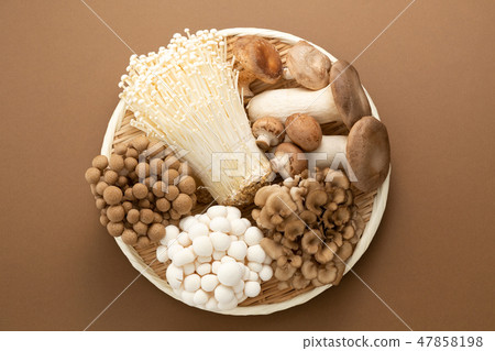 蘑菇集合 47858198