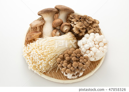 蘑菇集合 蘑菇集合 47858326