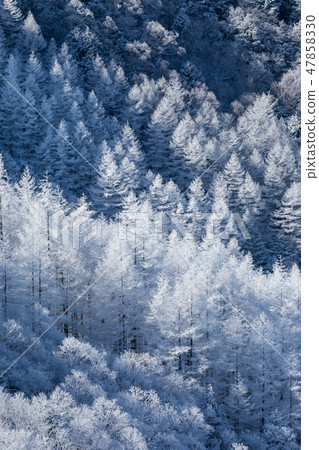 長野_可怕的冬天Mikigahara _粘土冰 47858330