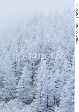 Nagano _ Terrible winter Mikigahara _ Clay ice Nagano _ Terrible winter Mikigahara _ Clay ice 47858357