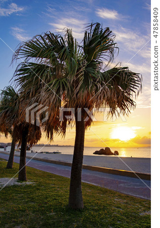 在Alaha海灘的日落在沖繩島 在Alaha海灘的日落在沖繩島 47858409