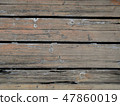 Old tree texture background material 47860019