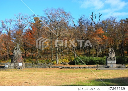 觀音寺,寺廟,秋葉, 觀音寺,寺廟,秋葉, 47862289