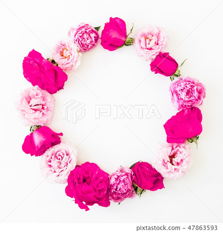 Round frame of pink ranunculus flowers, roses 47863593