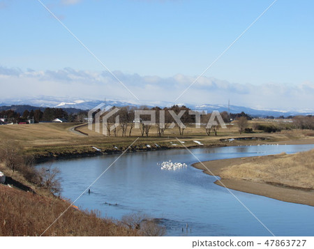 Miyagi prefecture Osaki shi winter Narugase River Shida Bridge Around Miyagi prefecture Osaki shi winter Narugase River Shida Bridge Around 47863727