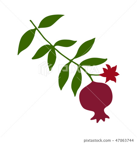 Sketch with pomegranate branch with green leaves. Sketch with pomegranate branch with green leaves. 47863744