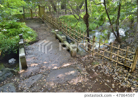 Okamoto Shizushido Green Area Setagaya Tokyo Okamoto Shizushido Green Area Setagaya Tokyo 47864507