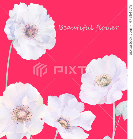 優雅的水彩玫瑰花和牡丹花 47864578