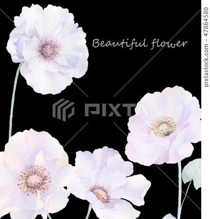 Elegant watercolor roses and peony flowers Elegant watercolor roses and peony flowers 47864580