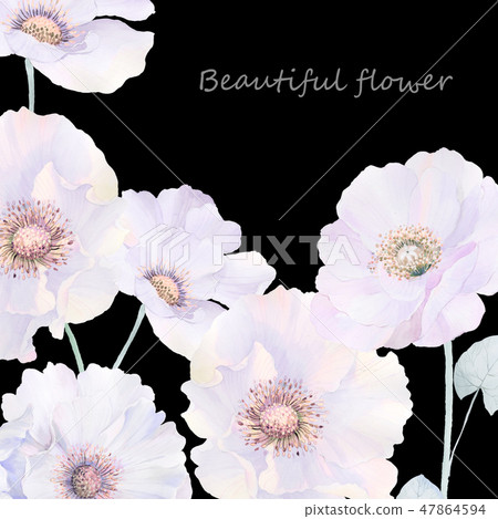 Elegant watercolor roses and peony flowers 47864594