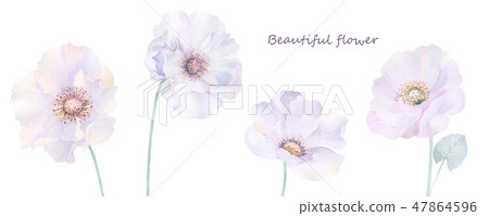 Elegant watercolor roses and peony flowers Elegant watercolor roses and peony flowers 47864596