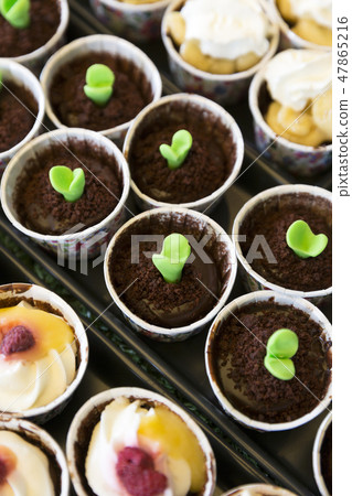Delicious chocolate Cupcake for party Delicious chocolate Cupcake for party 47865216