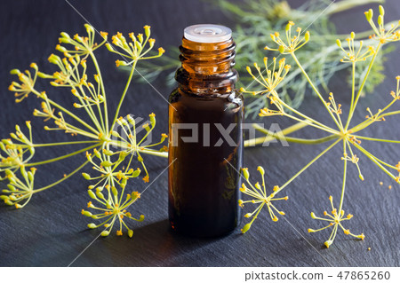 A dark bottle of dill seed oil with fresh dill 47865260