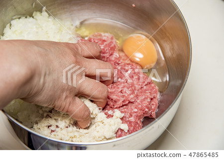 [Hamburg preparation] 47865485