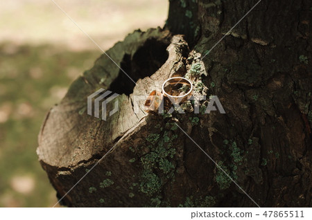 Wedding details - wedding rings as a symbol 47865511