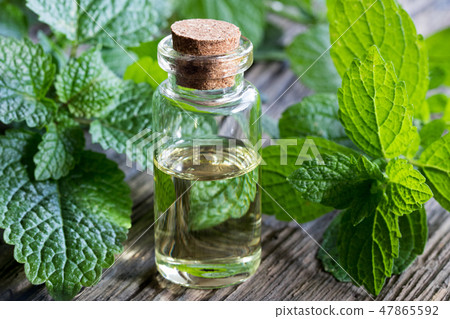 A bottle of melissa essential oil with melissa A bottle of melissa essential oil with melissa 47865592