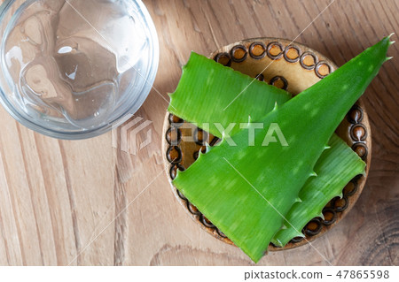 Aloe vera gel and fresh aloe vera plant Aloe vera gel and fresh aloe vera plant 47865598