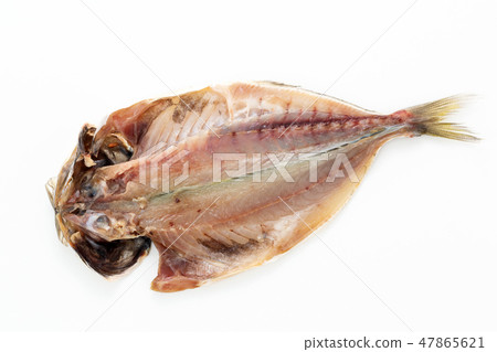 幹馬鯖魚 47865621