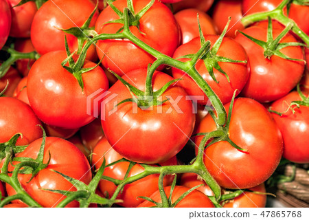 Red ripe tomatoes on a twig in the store Red ripe tomatoes on a twig in the store 47865768