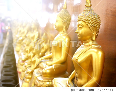 Buddha images arranged in rows. Buddha images arranged in rows. 47866254