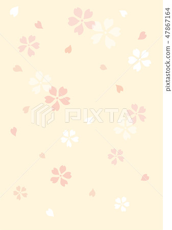 Cherry blossom background 4 47867164