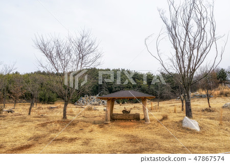 deer species habitat space deer species habitat space 47867574