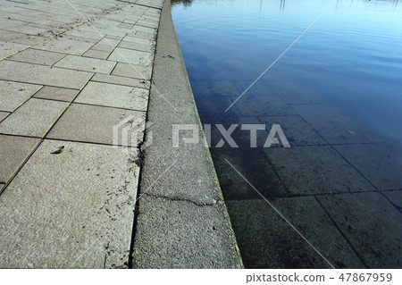 鬱鬱蔥蔥的水源 47867959