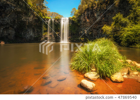 Dangar Falls in the Rainforest of Dorrigo National Park, Australia Dangar Falls in the Rainforest of Dorrigo National Park, Australia 47869540