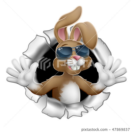 Easter Bunny Rabbit in Shades Breaking Background 47869837