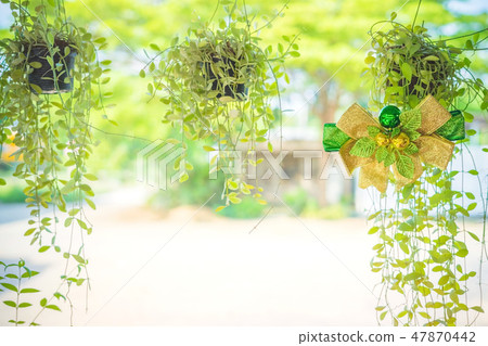 A green ribbon with small ball for decorate A green ribbon with small ball for decorate 47870442