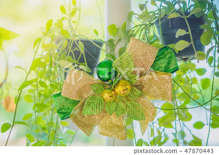 A green ribbon with small ball for decorate A green ribbon with small ball for decorate 47870443