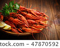 Delicious boiled crayfishes with seasoning 47870592