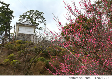 Japan 100 Great castle / Odawara castle 47871222