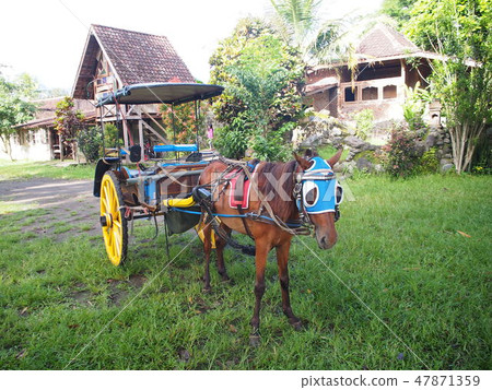 Borobudur wagon Borobudur wagon 47871359