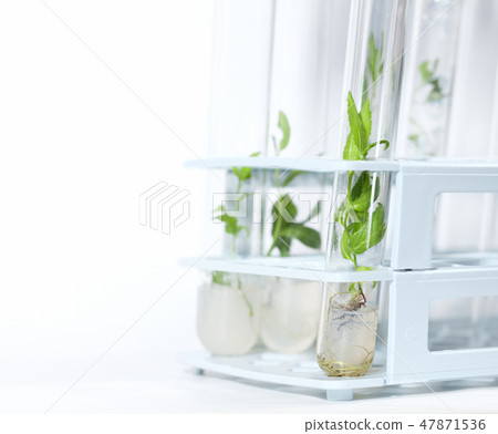 Biotechnology Research Biotechnology Research 47871536