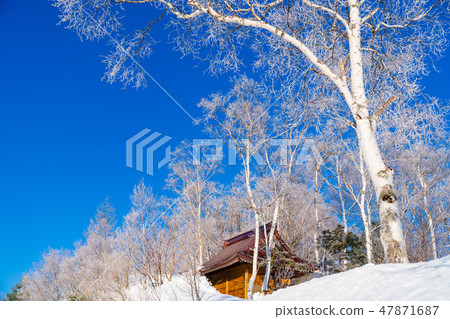 風景故事（志賀高原的冬天） 47871687