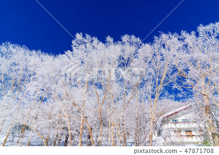 Landscape story (Winter in Shiga Kogen) 47871708