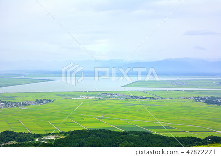 Hachirooka Territory池塘秋田 47872271