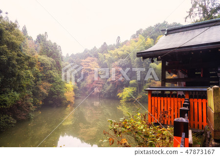 autumn leaves and shrine in Fushimi Inari 47873167