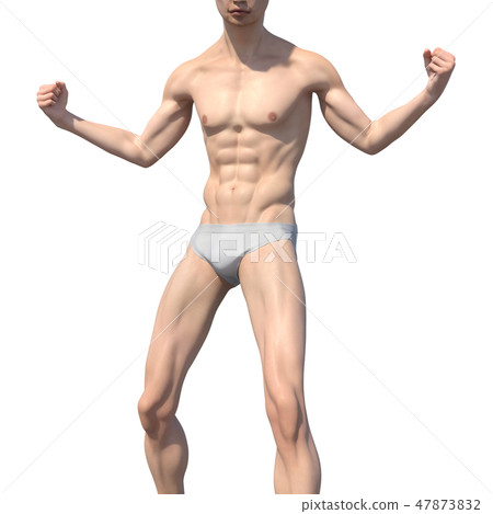 Male anatomy muscle 3DCG illustration material 47873832