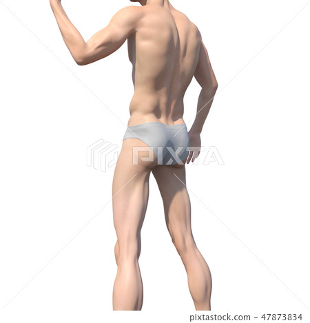 男性解剖學肌肉3DCG例證材料 47873834