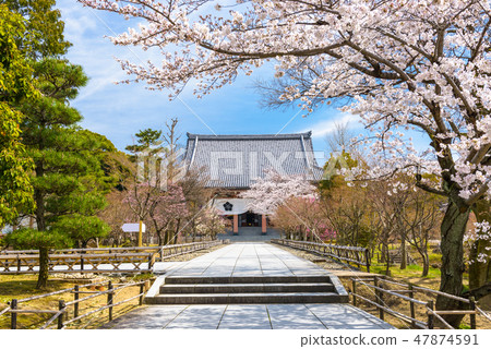 Kyoto, Japan at Chishaku-in Temple Kyoto, Japan at Chishaku-in Temple 47874591