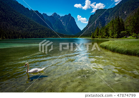 Lake Dobbiaco in the Dolomites, Italy Lake Dobbiaco in the Dolomites, Italy 47874799