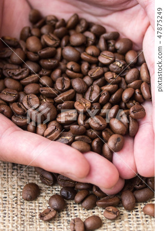手捧著咖啡豆 手捧著咖啡豆 47875249
