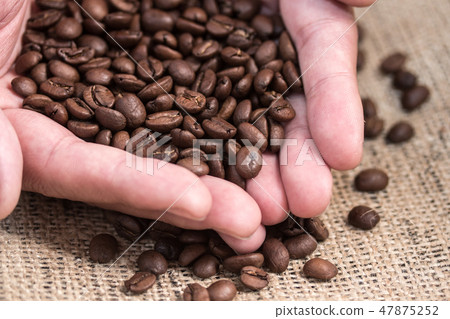 手捧著咖啡豆 47875252
