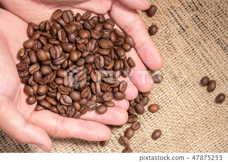 手捧著咖啡豆 47875253
