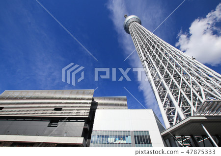 東京天空樹 東京天空樹 47875333