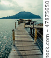 wood bridge 47875650